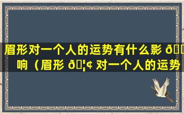 眉形对一个人的运势有什么影 🐬 响（眉形 🦢 对一个人的运势有什么影响嘛）